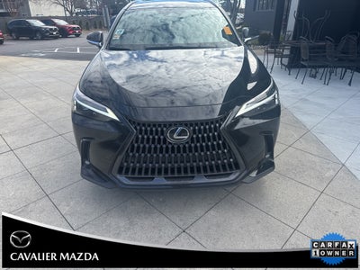 2023 Lexus NX 350 Premium