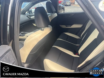 2023 Lexus NX 350 Premium