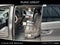 2011 Honda Odyssey Touring Elite