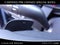 2026 Mazda Mazda CX-90 3.3 Turbo S Premium