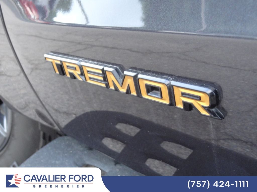 2025 Ford Expedition Tremor