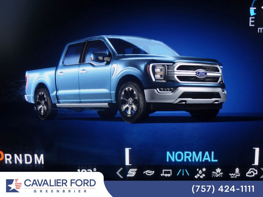 2021 Ford F-150 Platinum