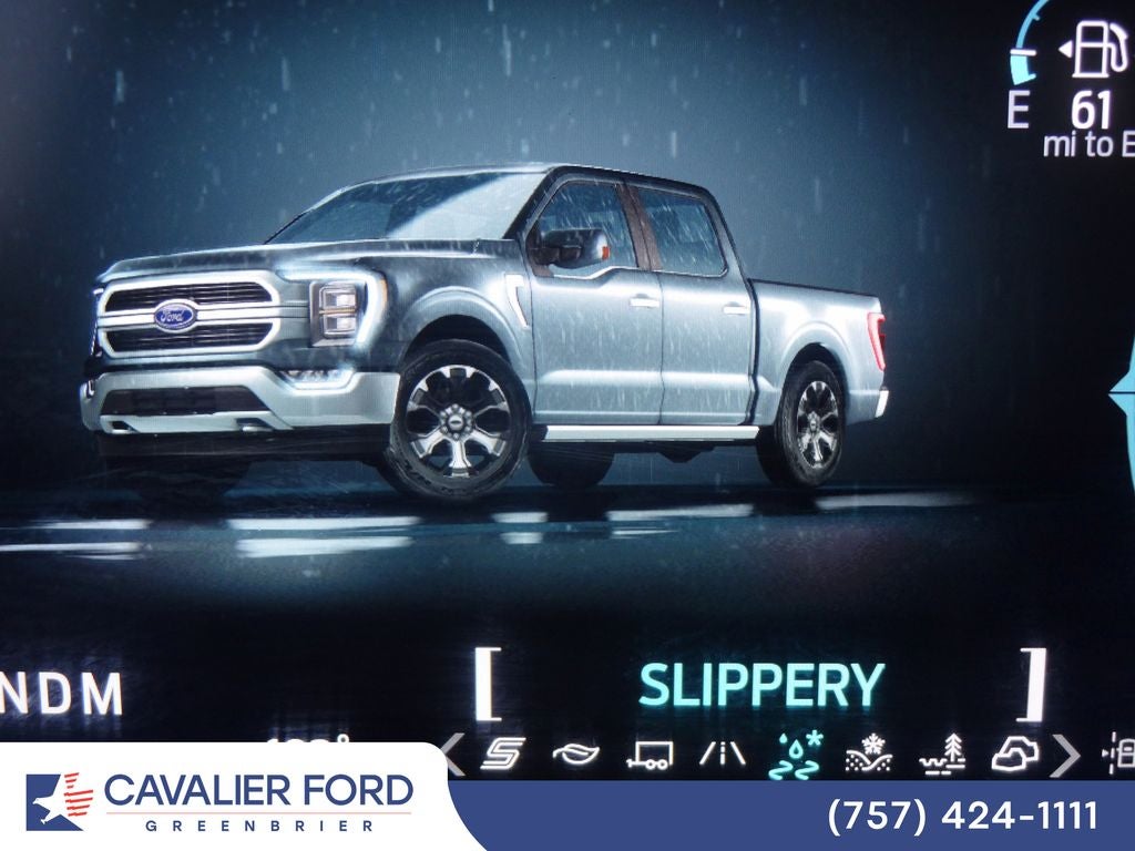 2021 Ford F-150 Platinum