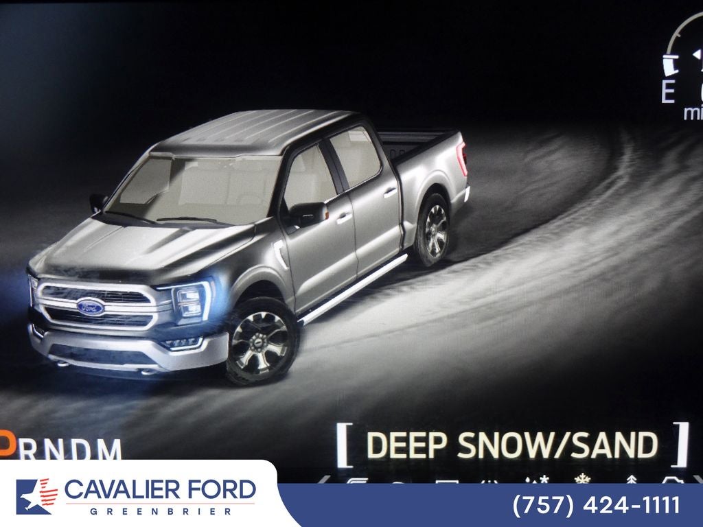 2021 Ford F-150 Platinum