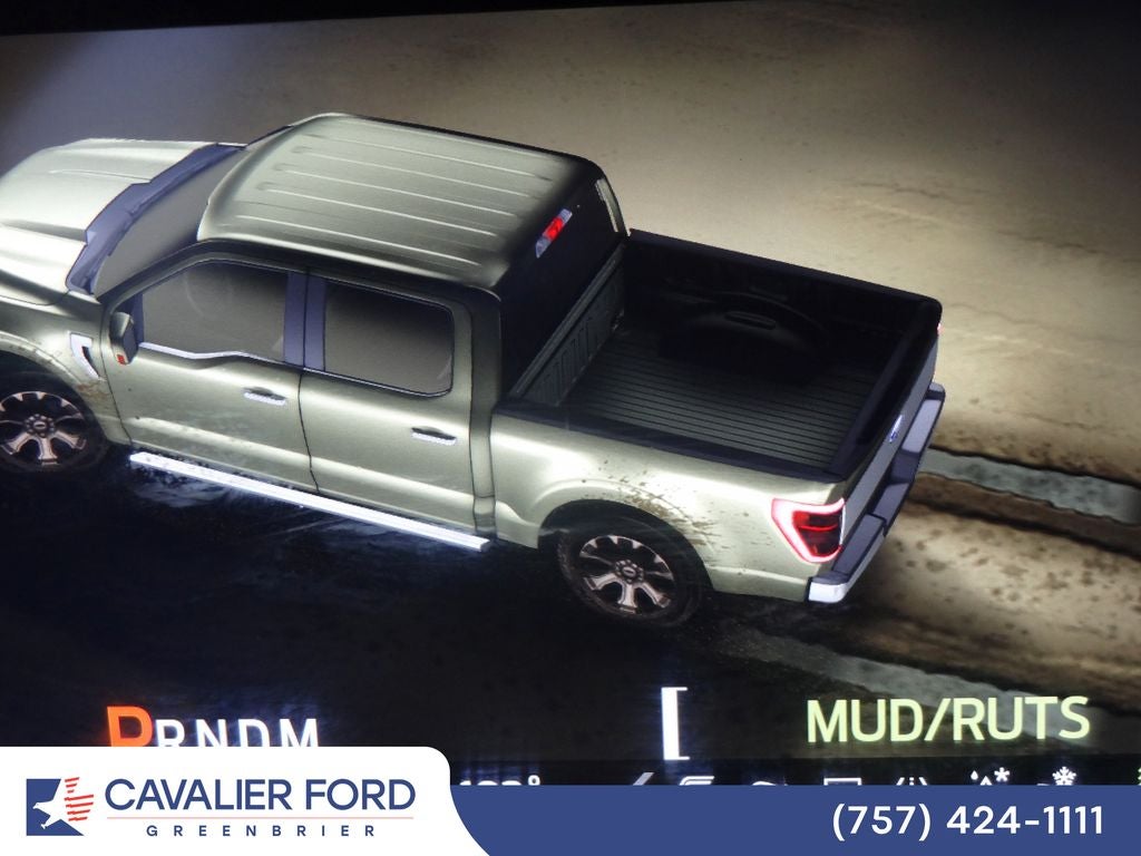 2021 Ford F-150 Platinum