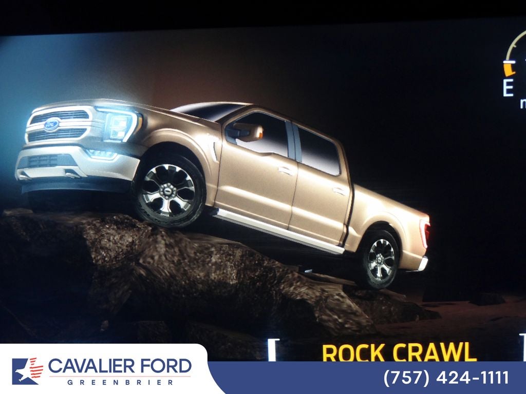2021 Ford F-150 Platinum