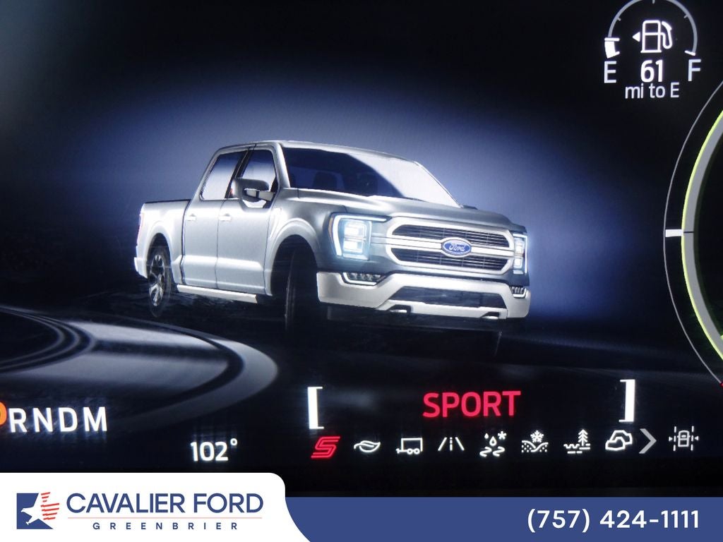2021 Ford F-150 Platinum
