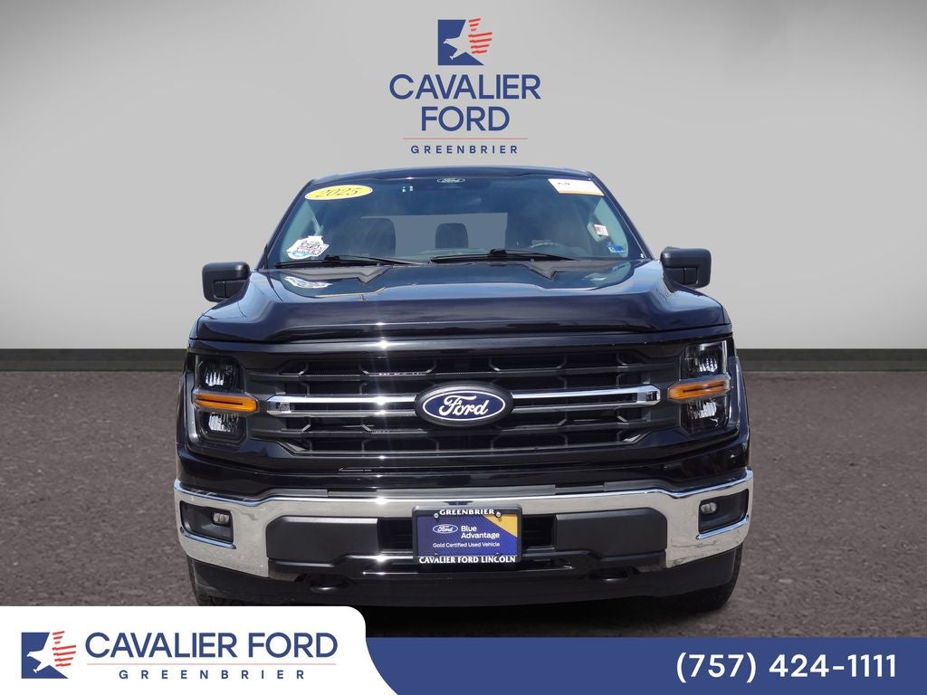 2025 Ford F-150 XLT