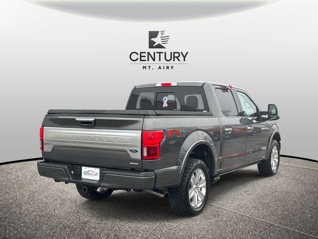 2019 Ford F-150 Platinum